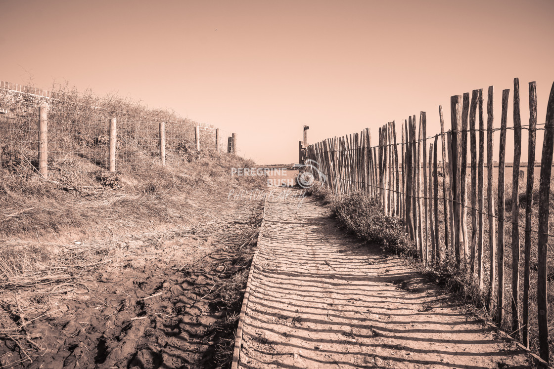 "Early Spring in Orford" stock image