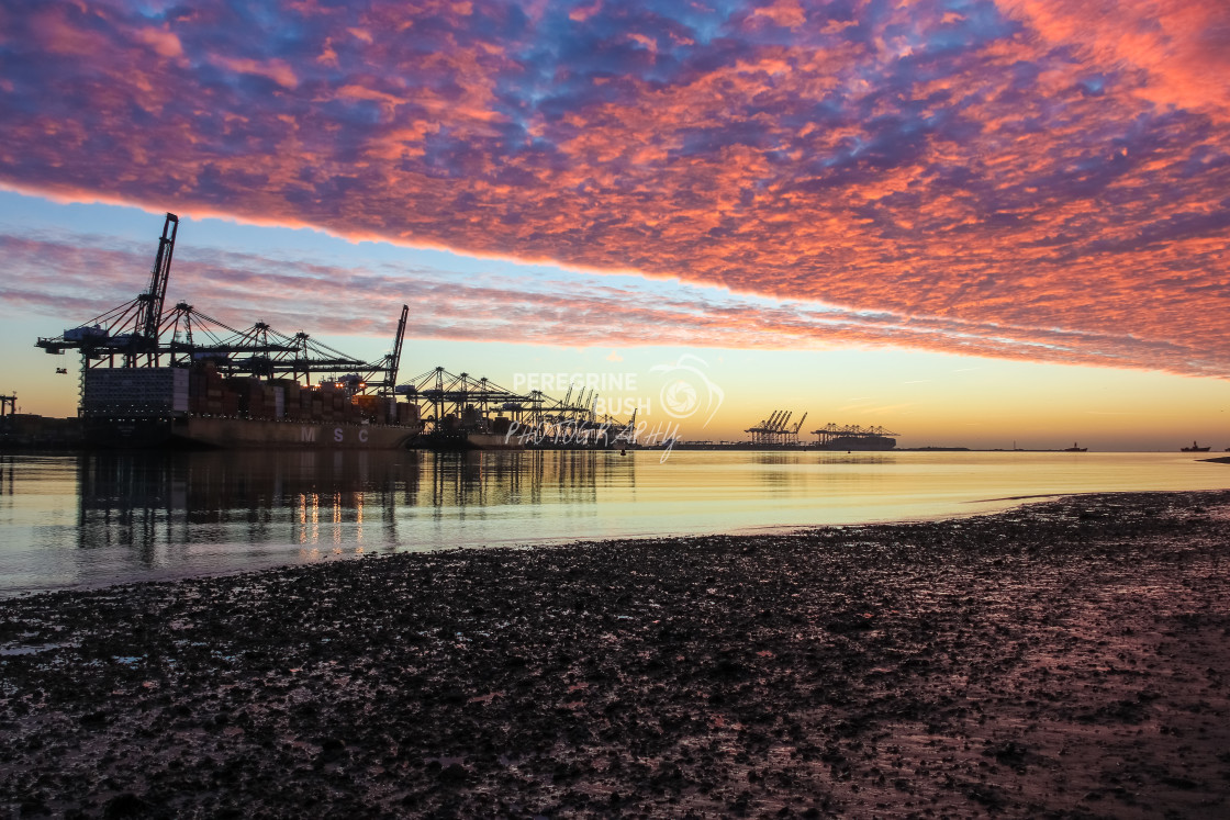 "Port of Felixstowe at dawn" stock image