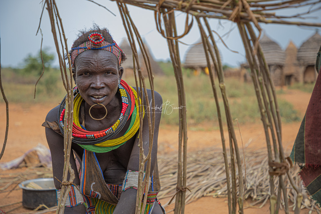 "A Toposa woman building a traditional house" stock image