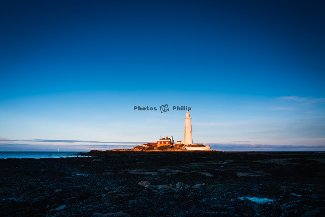 "St. Mary's Lighthouse during a cold October Golden Hour" by Photography by Philip - $14.95 "St. Mary's Lighthouse during a cold October Golden Hour" stock image