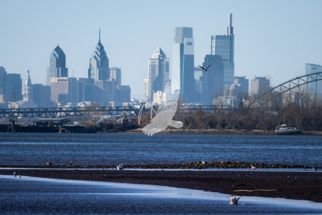 "Philadelphia skyline" stock image