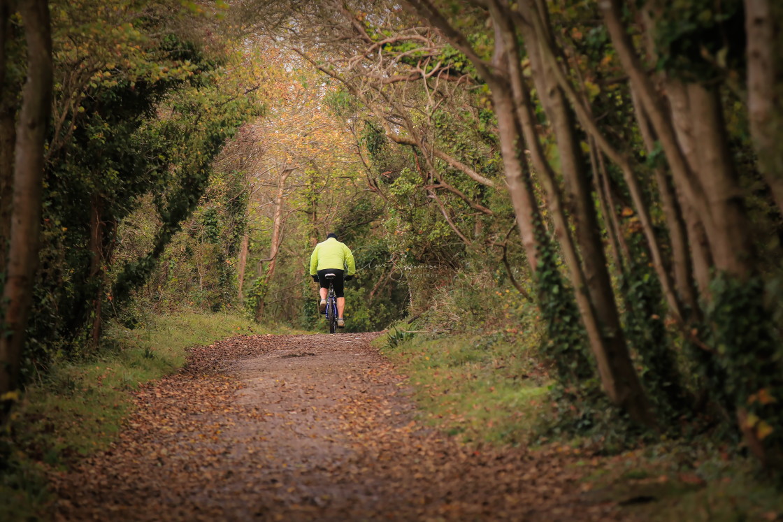 "Cycling in the woods" stock image