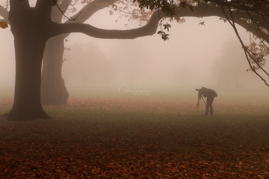 "Photographer in the Fog" stock image