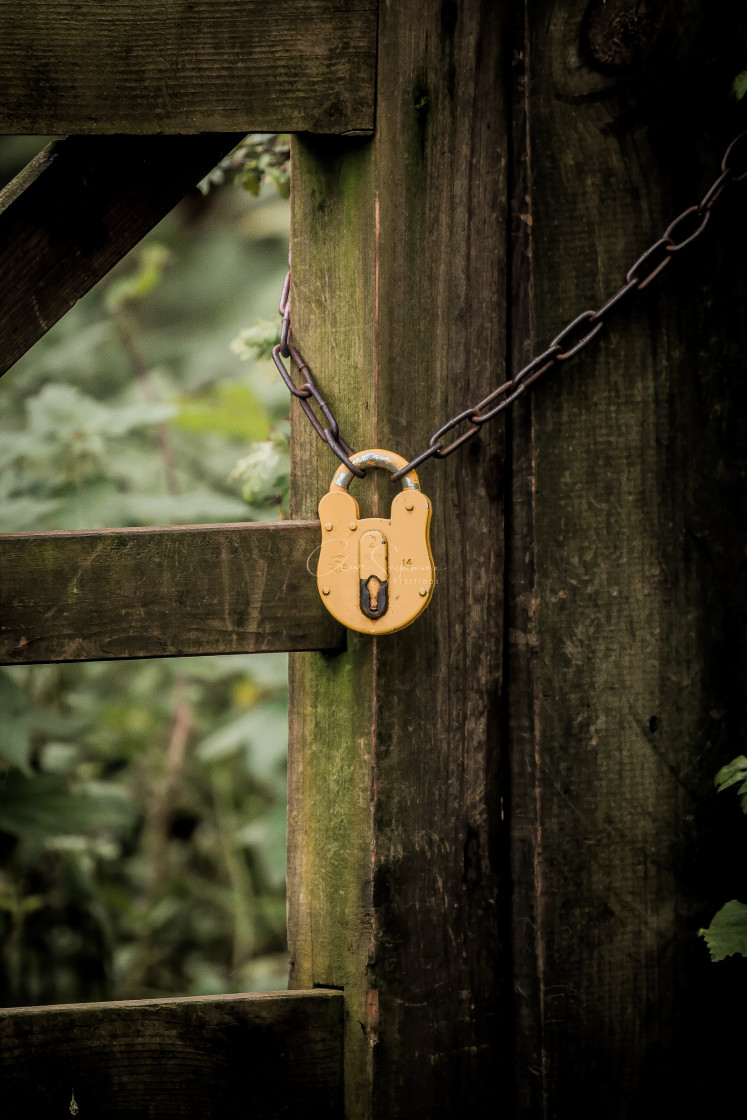 "Wooden gate with padlock and chain." stock image