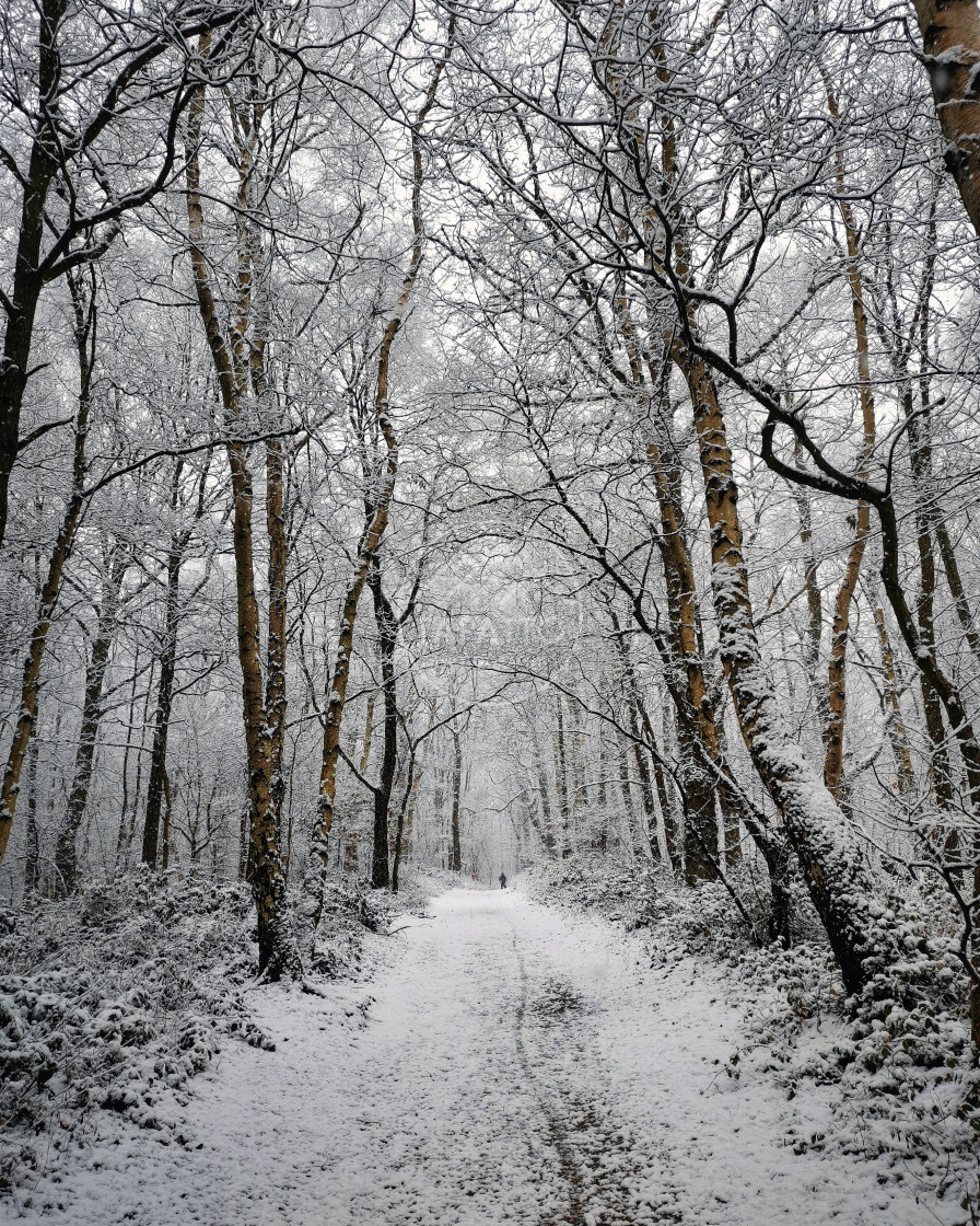 "Nottingham Narnia" stock image