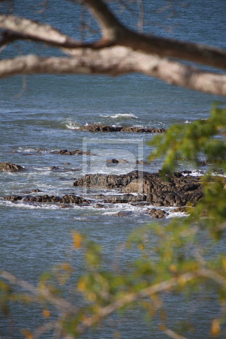 "coronado" stock image