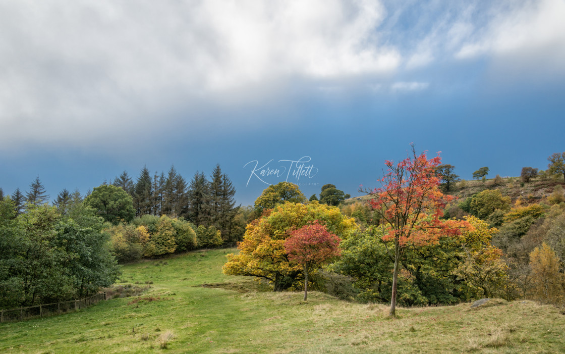 "Autumn Glory" stock image