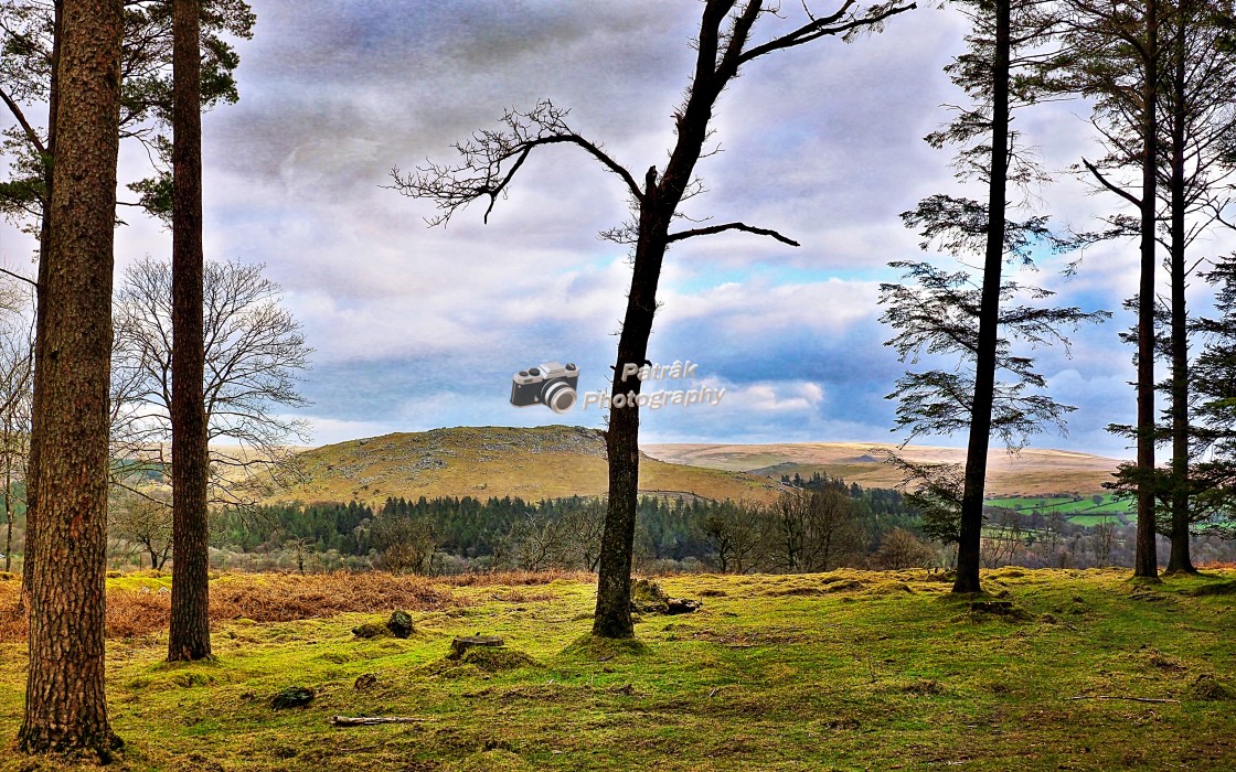 "On The Exmoor Fringes" by Keith Patrak - £10.00 "On The Exmoor Fringes" stock image