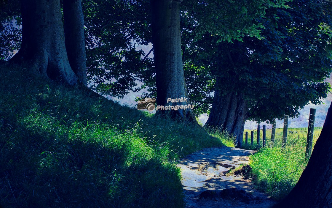 "Sunlit Path - Avebury, Wiltshire" by Keith Patrak - £10.00 "Sunlit Path - Avebury, Wiltshire" stock image