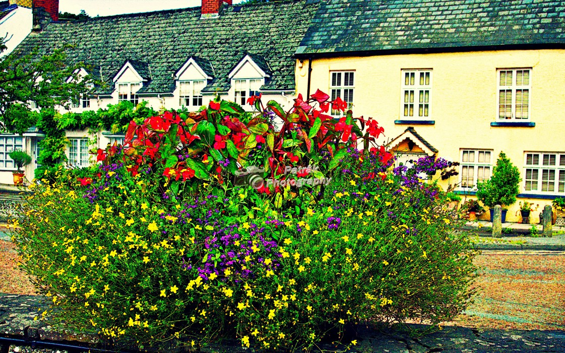 "Floral Display - Usk, Herefordshire" by Keith Patrak - £10.00 "Floral Display - Usk, Herefordshire" stock image