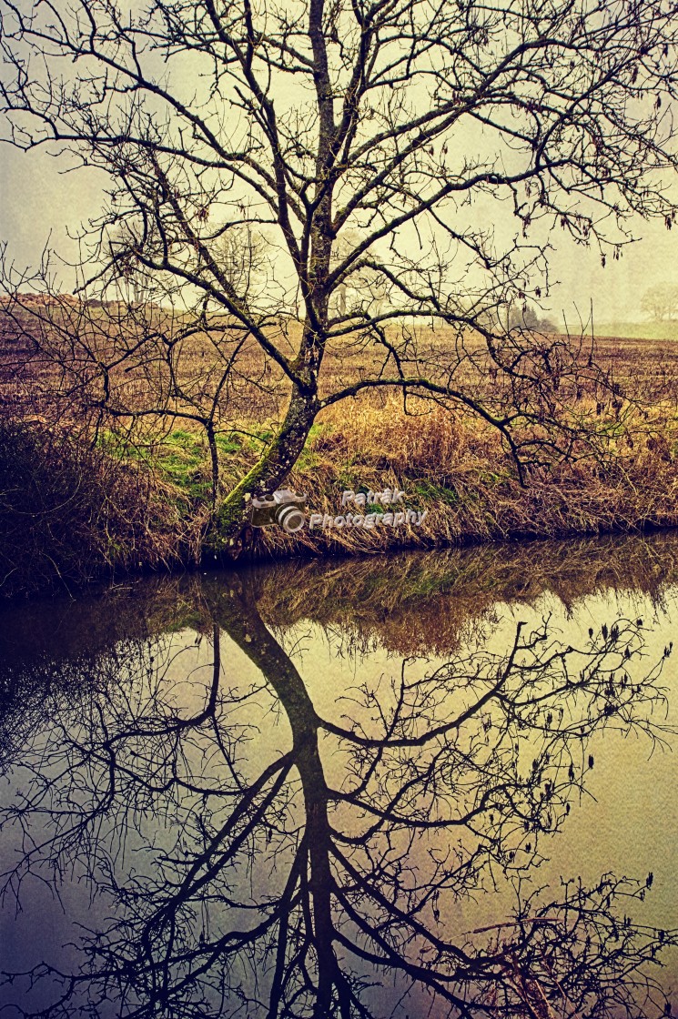 "Canalside Reflections #4- Milton Lilbourne, Wiltshire" by Keith Patrak - £10.00 "Canalside Reflections #4- Milton Lilbourne, Wiltshire" stock image