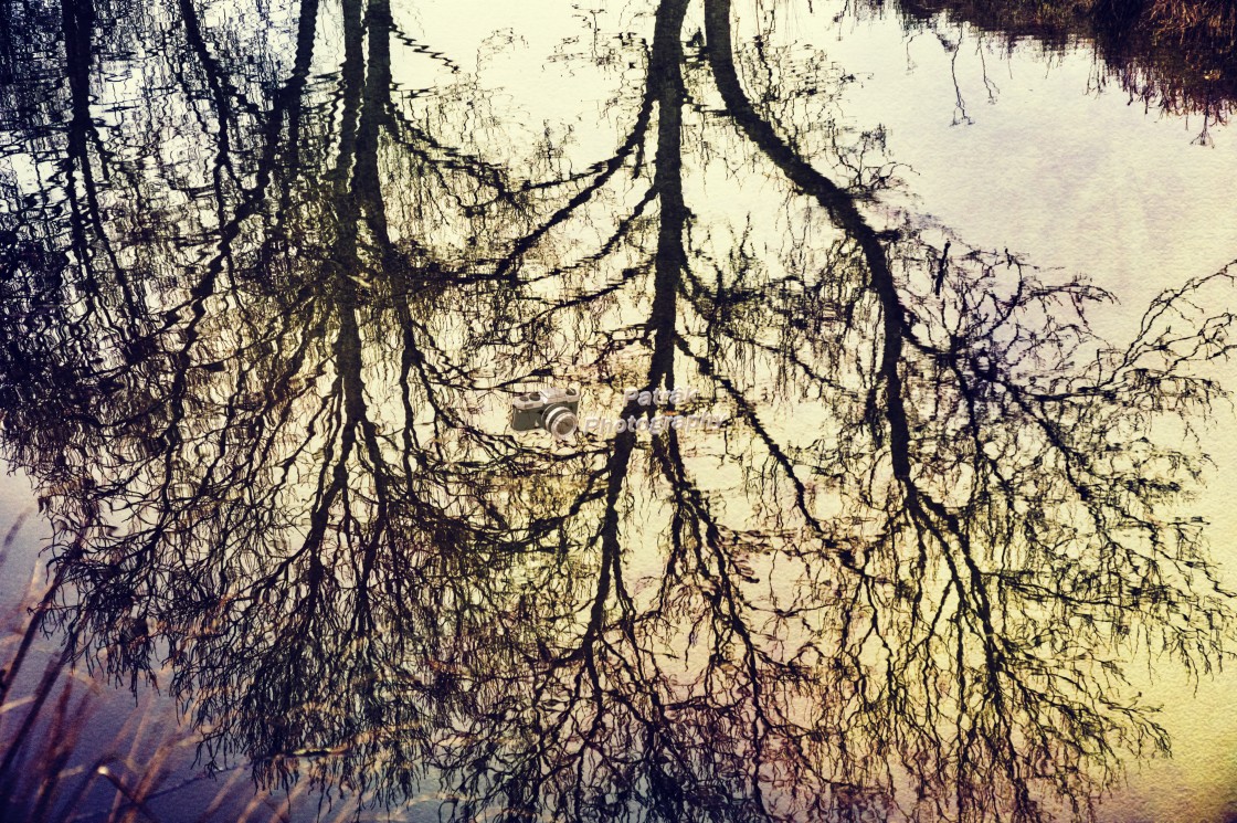 "Shimmering Reflection - Milton Lilbourne, Wiltshire" by Keith Patrak - £10.00 "Shimmering Reflection - Milton Lilbourne, Wiltshire" stock image