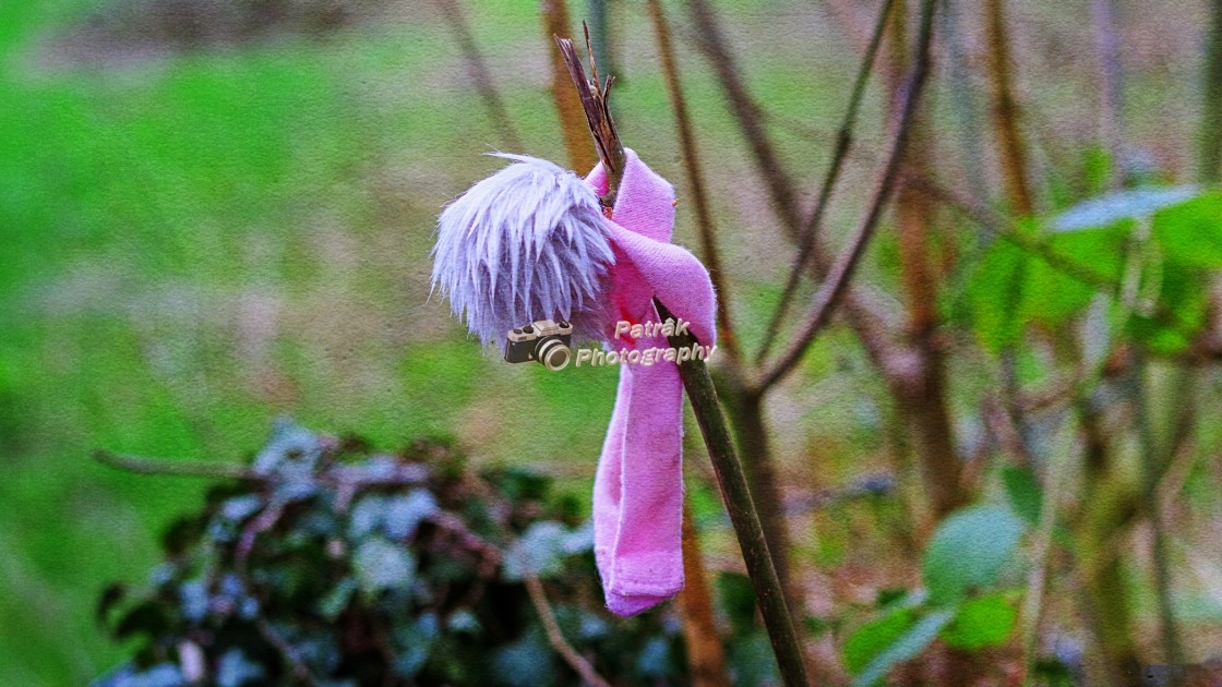 "Help! - Devizes, Wiltshire" by Keith Patrak - £10.00 "Help! - Devizes, Wiltshire" stock image