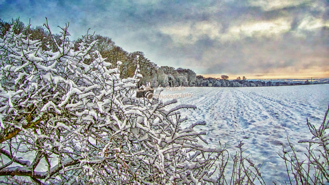 "Potterne Fields - Devizes, Wiltshire, England" by Keith Patrak - £15.00 "Potterne Fields - Devizes, Wiltshire, England" stock image