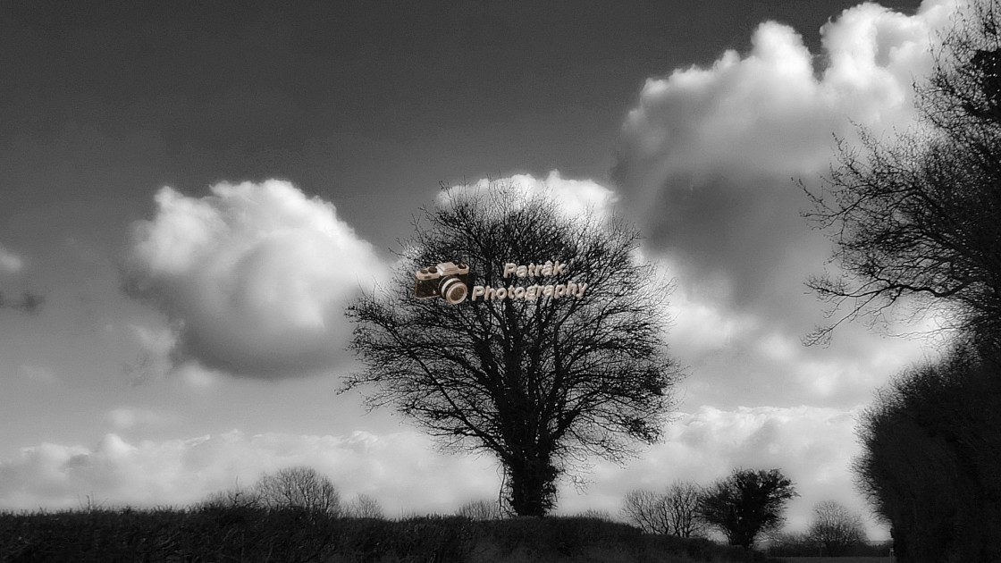 "Fluffy Clouds Passing By" by Keith Patrak - £15.00 "Fluffy Clouds Passing By" stock image