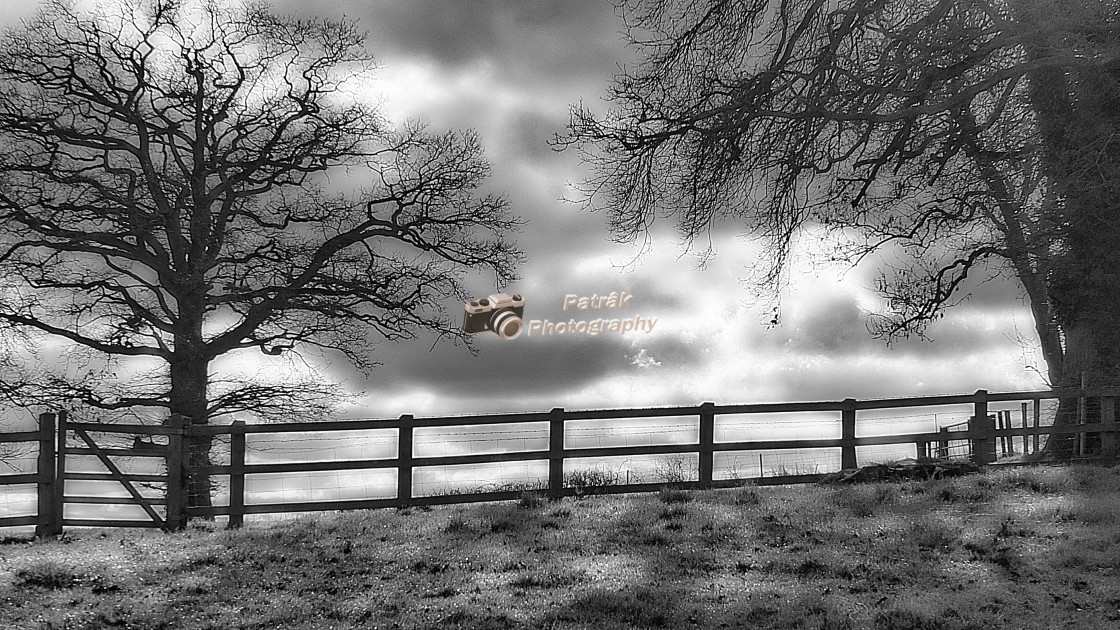 "Wooden Fence & Dappled Light" by Keith Patrak - £15.00 "Wooden Fence & Dappled Light" stock image