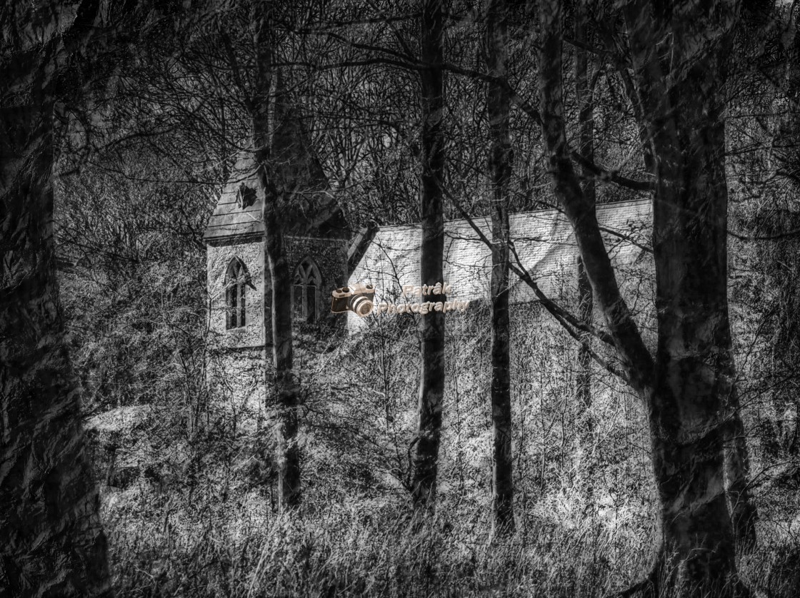 "St Katherines Church - Savernake Forest, Wiltshire, England" by Keith Patrak - £15.00 "St Katherines Church - Savernake Forest, Wiltshire, England" stock image