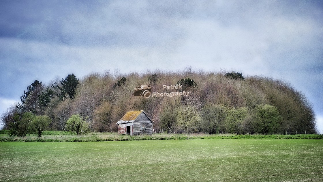 "Old Shed Amongst The Ring Of Trees" by Keith Patrak - £15.00 "Old Shed Amongst The Ring Of Trees" stock image