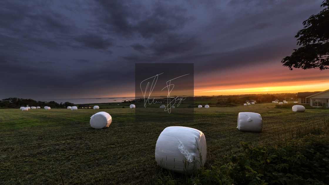 "Farming" stock image