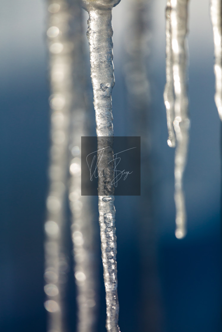 "Icicle" stock image