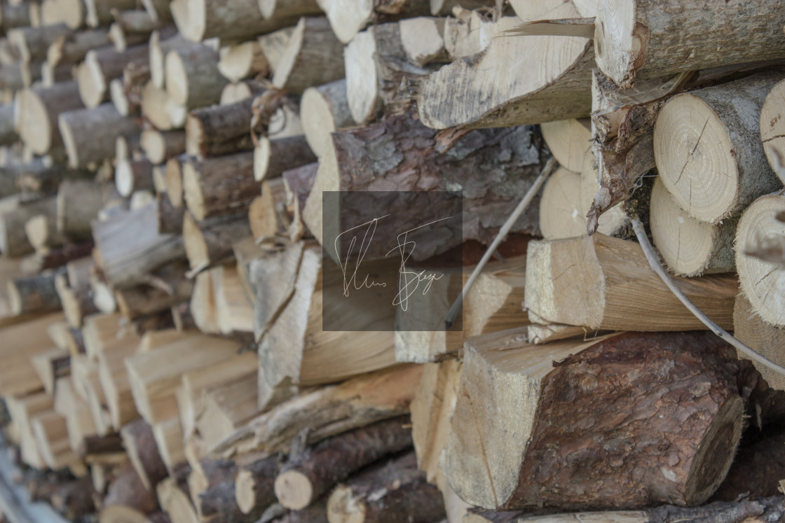 "Firewood - firewood stacked for drying." stock image