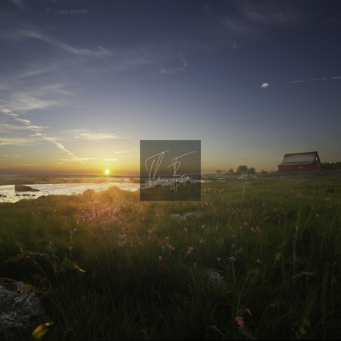 "Meadow at the coast" stock image