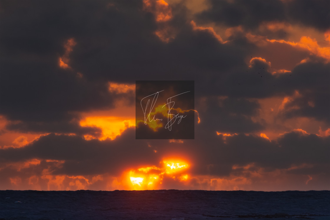 "Sunset in the ocean" stock image