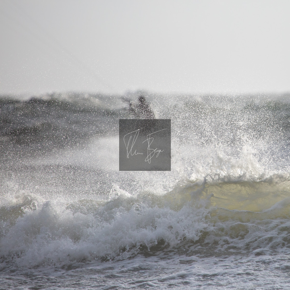 "Kiter in the sea" stock image