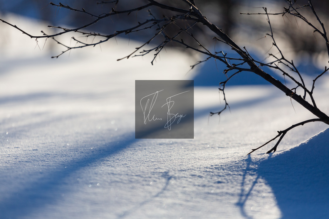 "Snowgrund" stock image