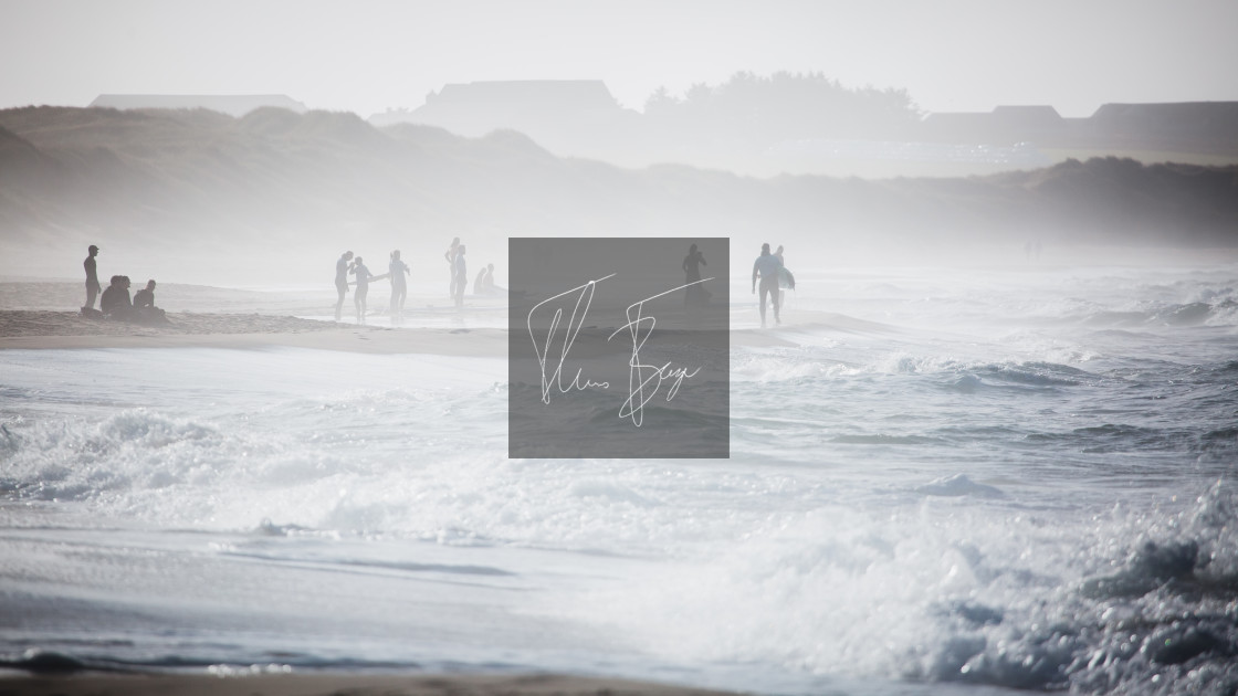 "Beach silhouettes" stock image