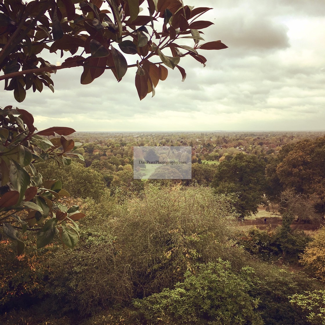 "Autumn in Richmond Park" stock image