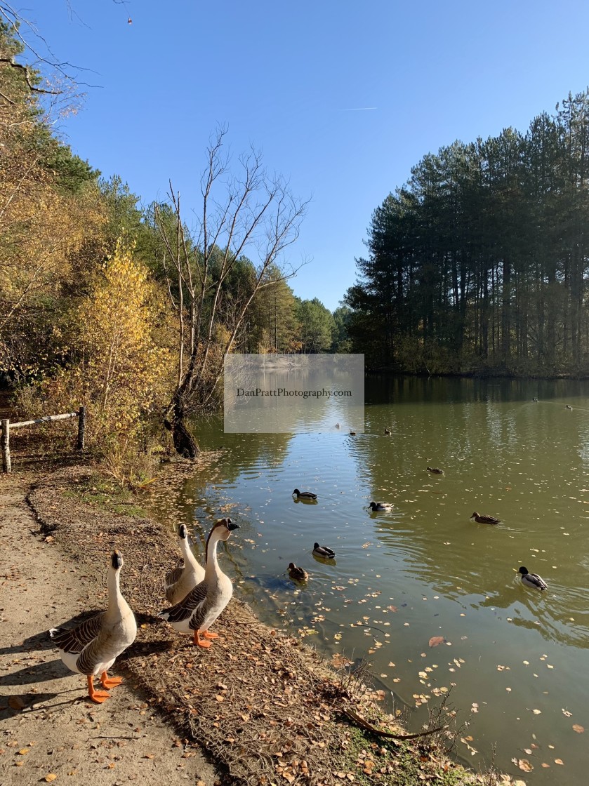 "A French lake in Autumn" stock image