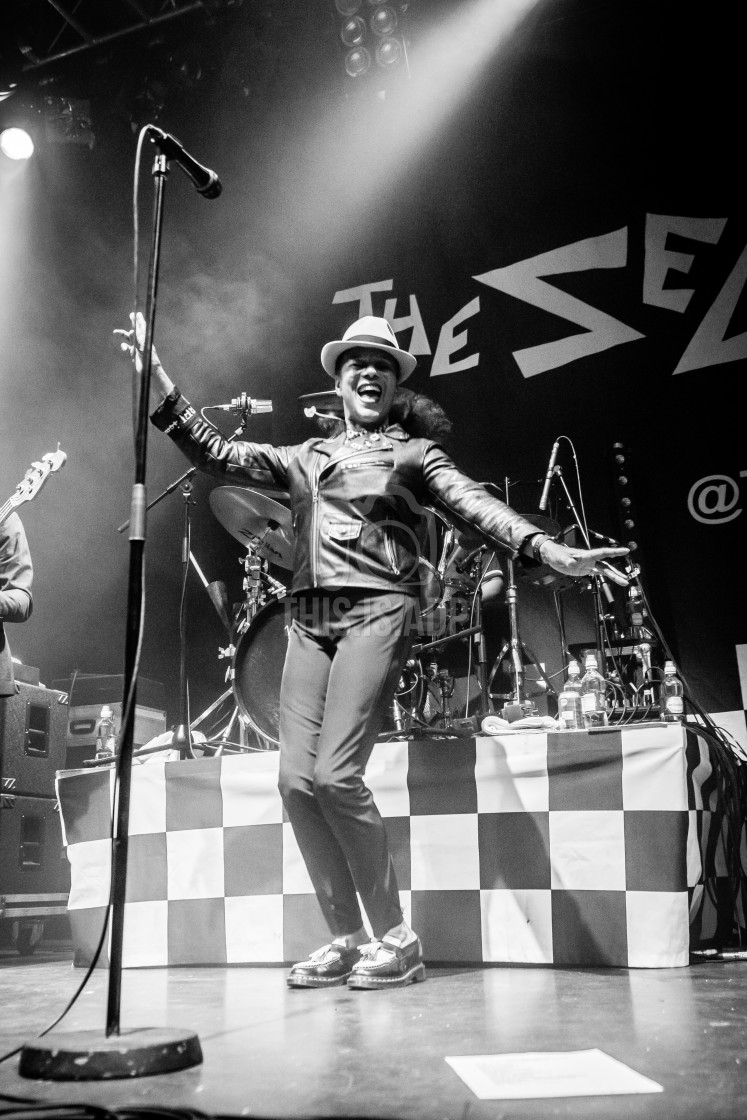 "Pauline Black | The Selecter" by Al Donnelly - £15.00 "Pauline Black | The Selecter" stock image