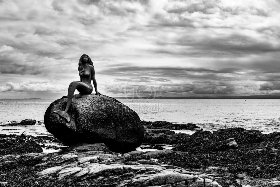 "Mermaid of the North" by Al Donnelly - £12.00 "Mermaid of the North" stock image