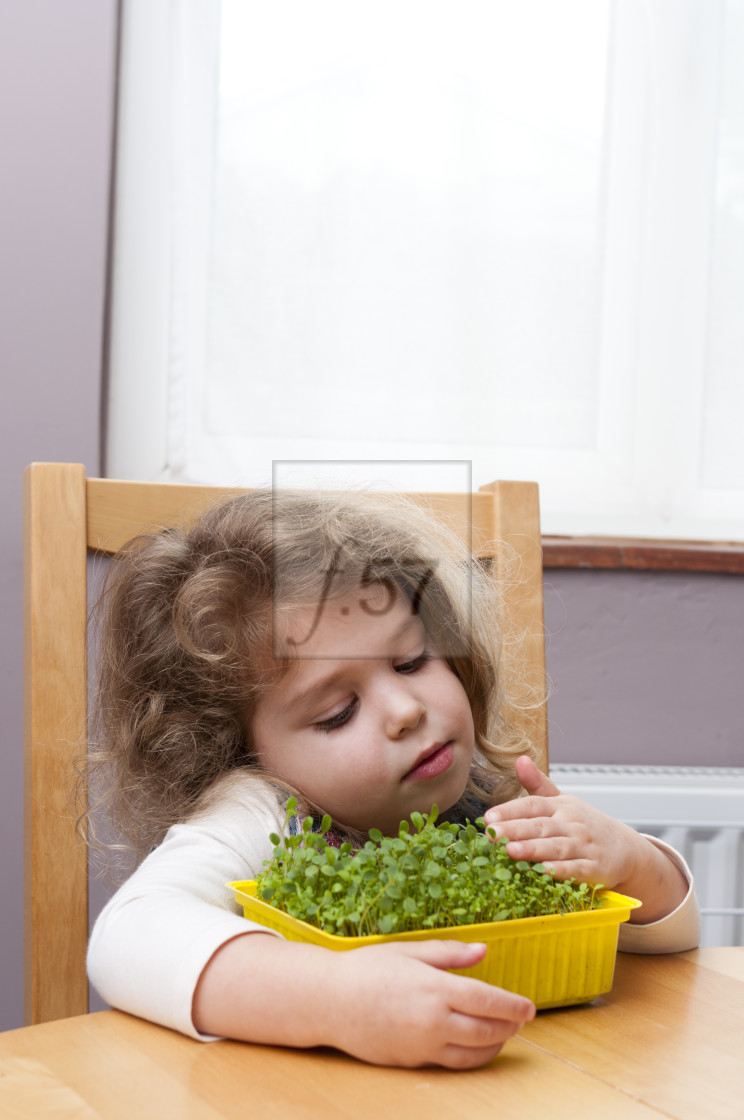 "Young girl with arms around a tray of flower seedlings." by HD57 lifestyle stock photography - $29.40 "Young girl with arms around a tray of flower seedlings." stock image