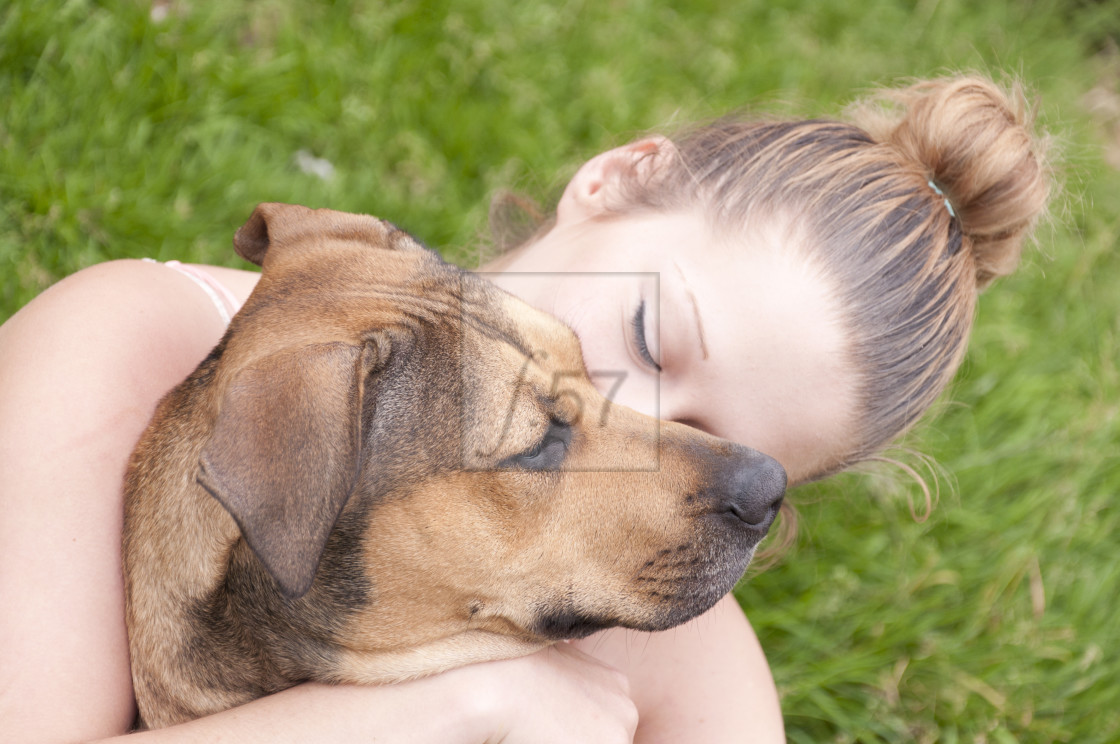 "Young woman playing with pet dog" stock image