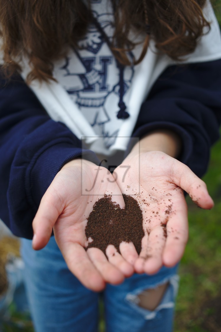 "Girl holding poppy seeds in her hands" stock image