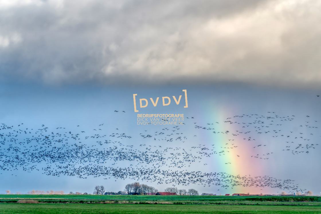 "100154 Uitzicht op de polder" stock image