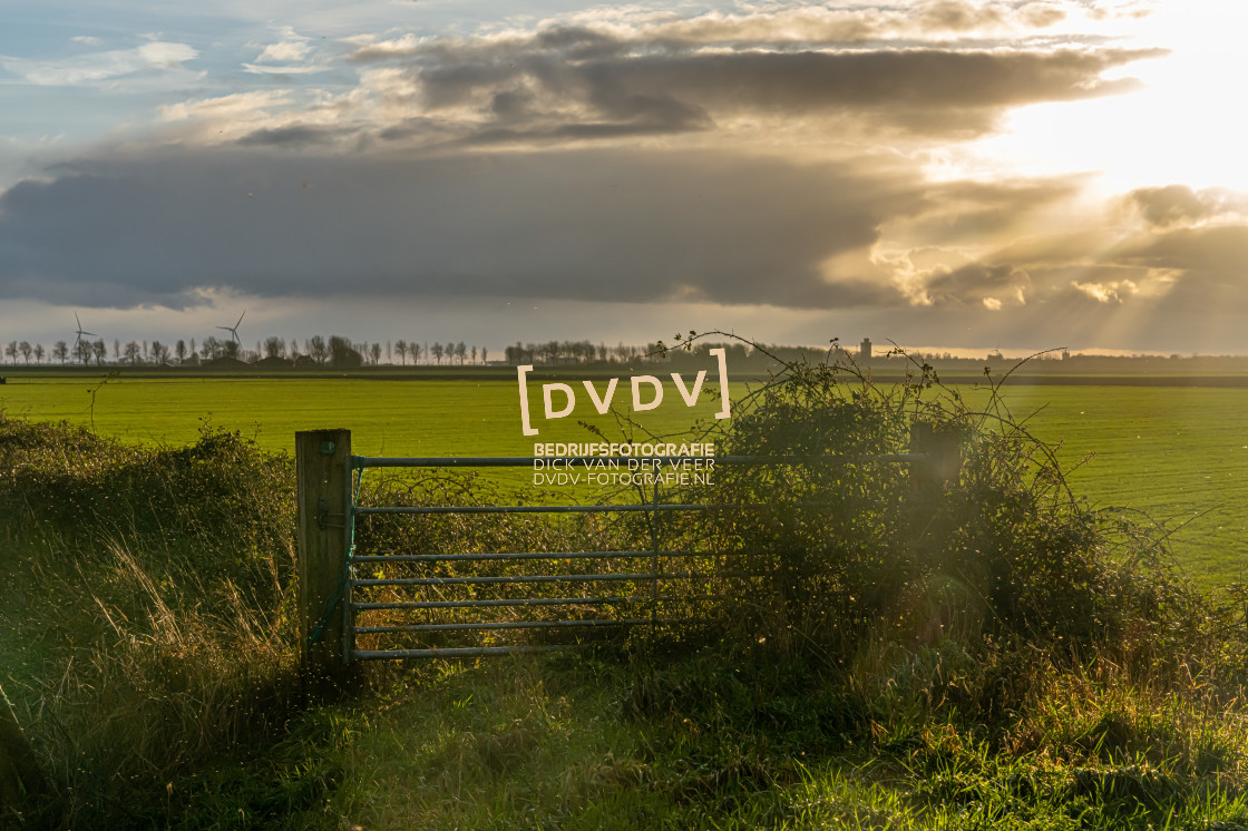 "102903 Polder Landschap Schouwen-Duiveland" stock image