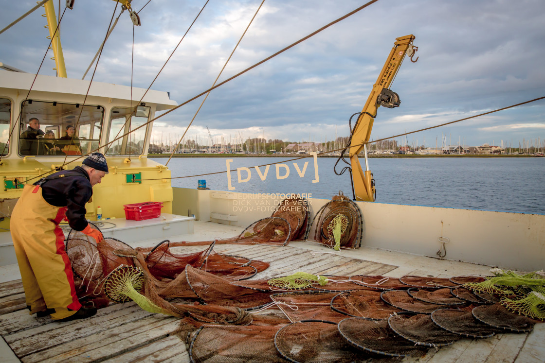 "Oosterscheldekreeften 107794" stock image