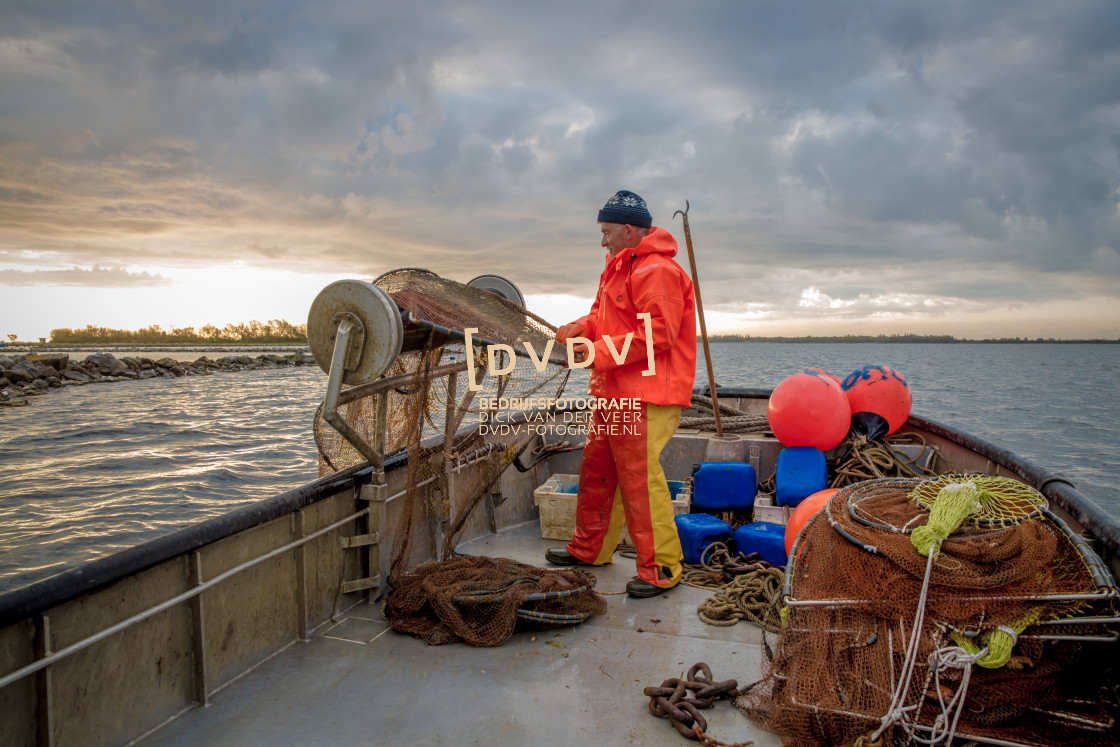 "Oosterscheldekreeften 107795" stock image