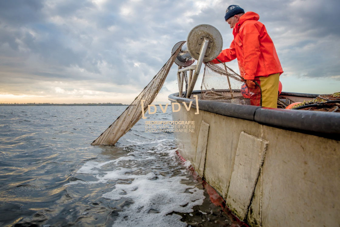 "Oosterscheldekreeften 107796" stock image