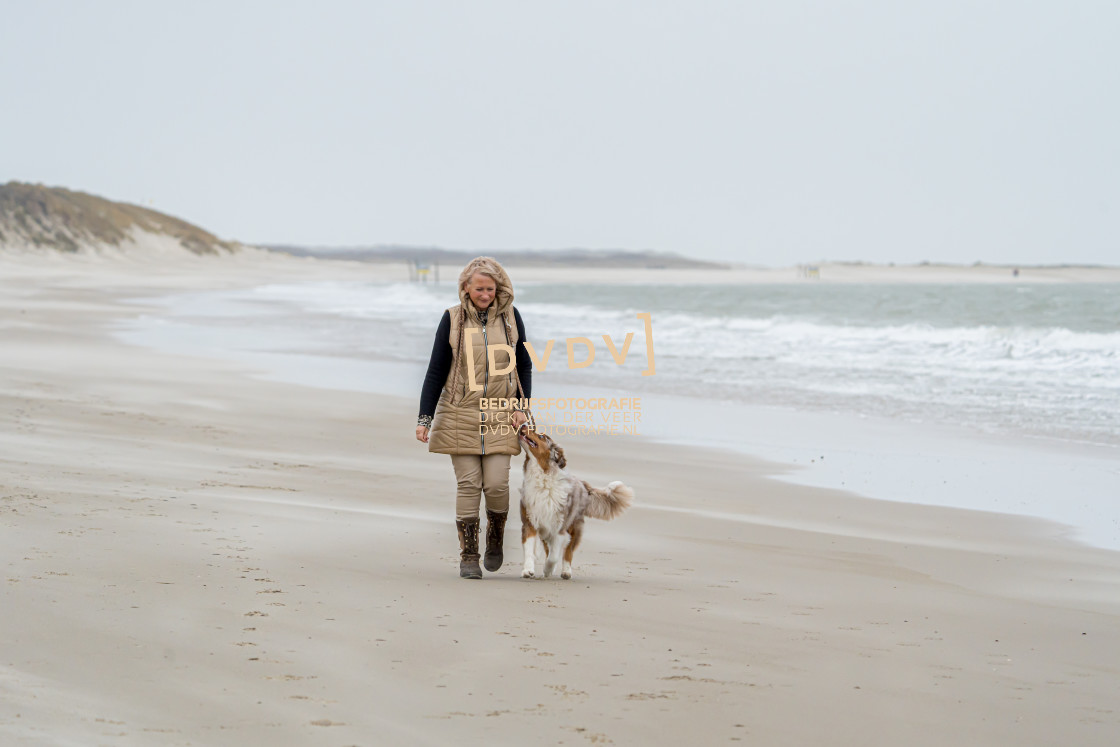 "Strand Renesse 108661" stock image