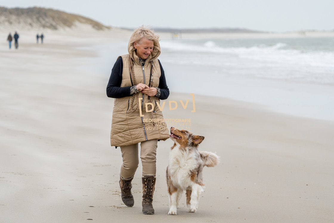 "Strand Renesse 108662" stock image