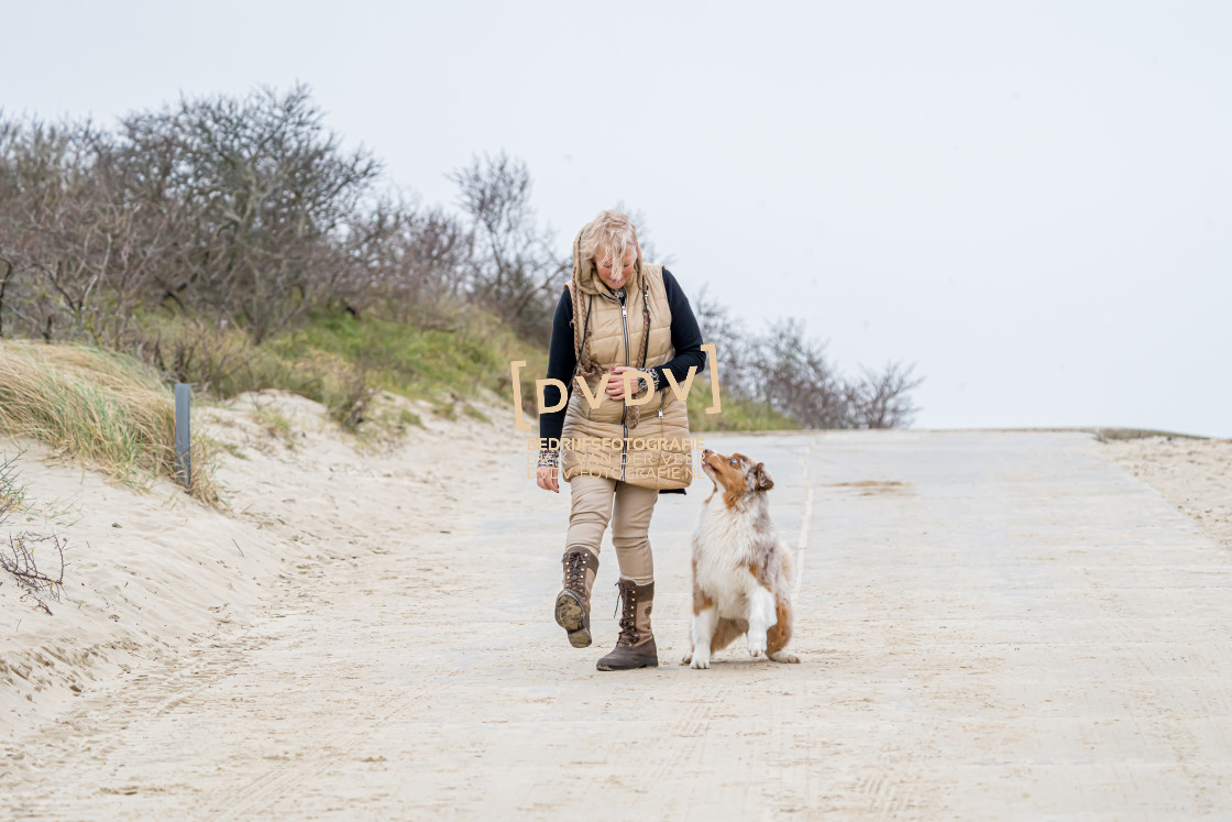 "Strand Renesse 108669" stock image