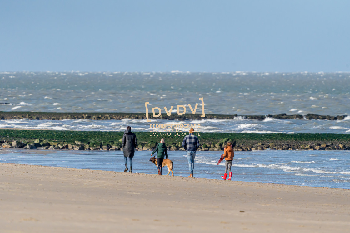 "Strand Renesse 108685" stock image