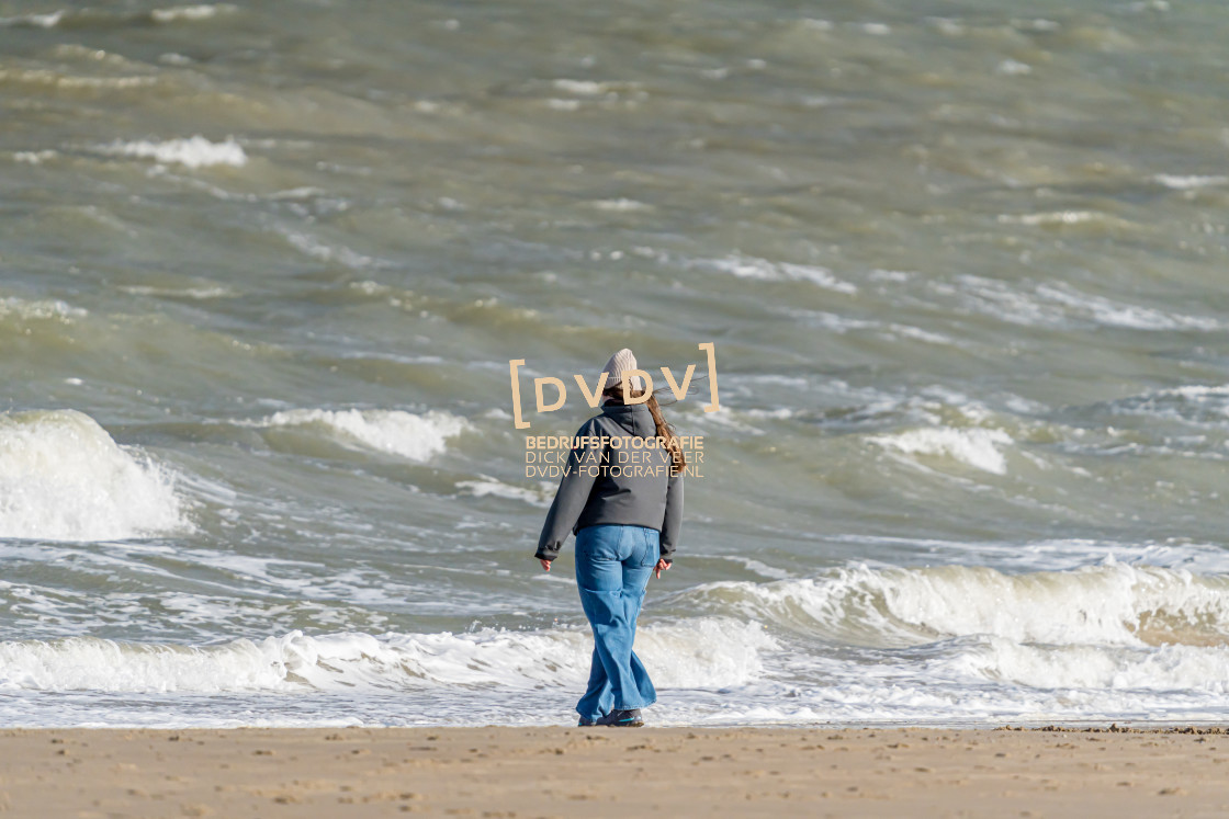 "Strand Renesse 108687" stock image