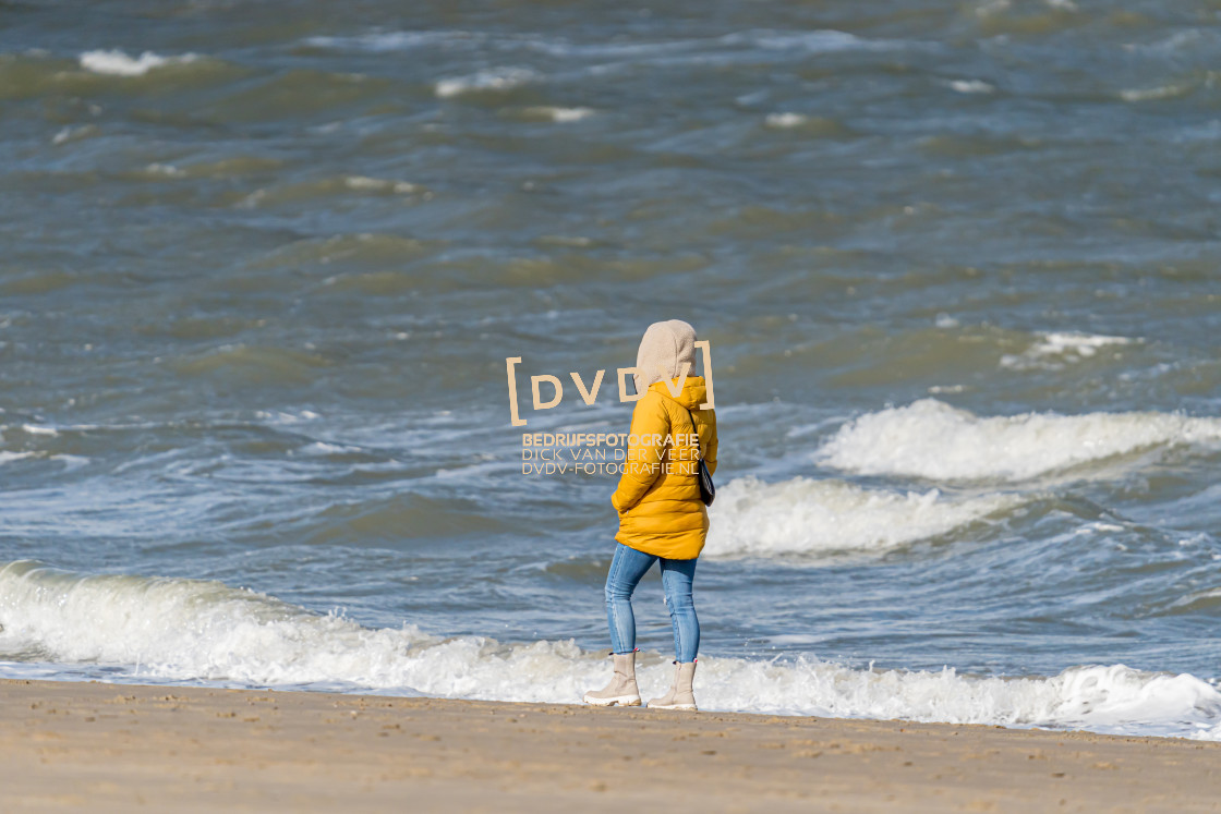 "Strand Renesse 108690" stock image