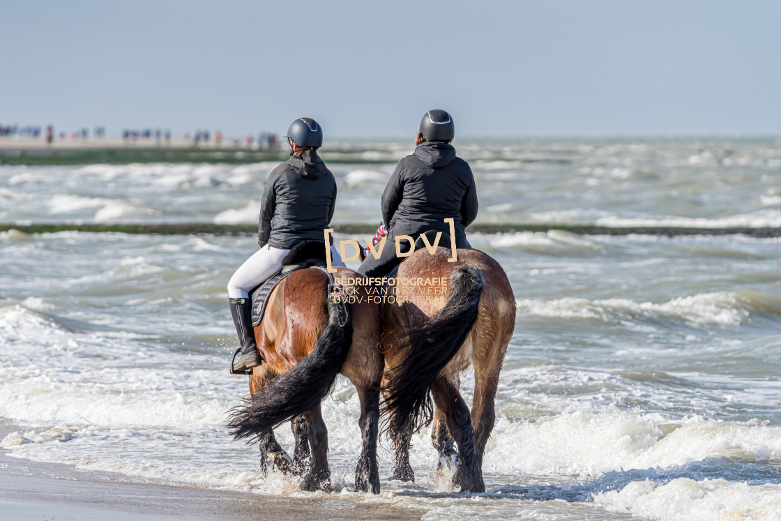 "Strao Noordwelle 108698" stock image