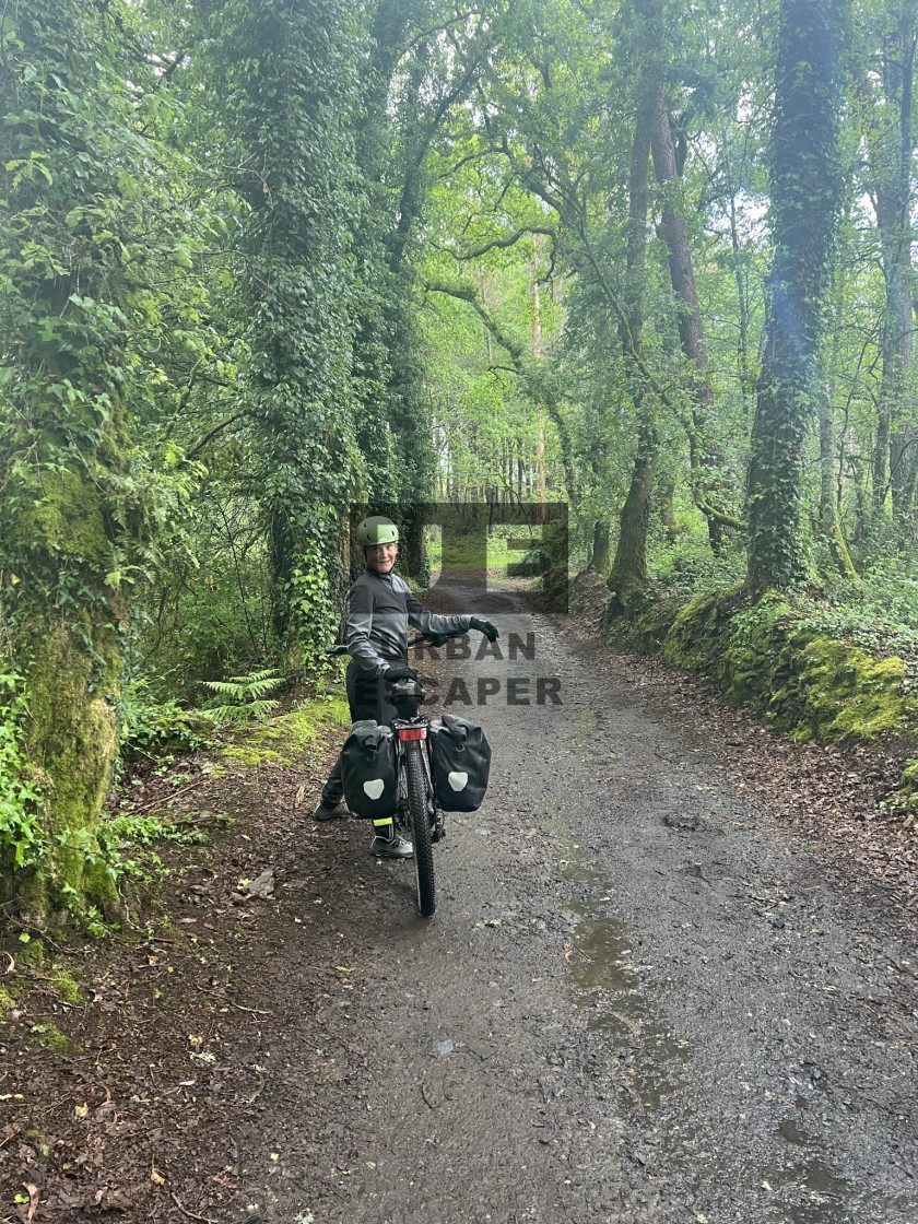 "Camino de Santiago" stock image